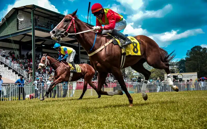 Restauration Grand Public Hippodrome de Longchamp
